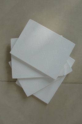 Light Weight Design Acoustical Ceiling Board for Residential and Commercial Spaces