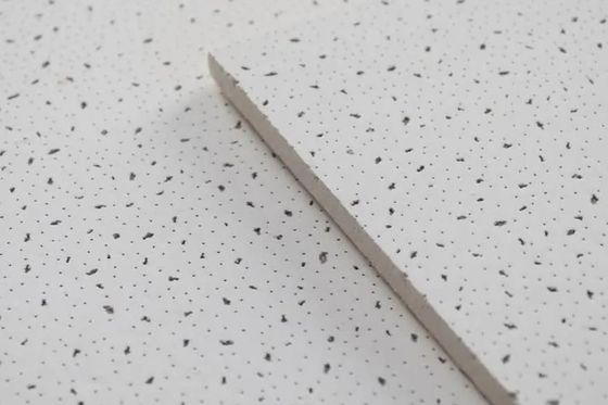 Mineral Wool Decorative Ceiling Board Tile with and The Irregular Hole Surface Picture
