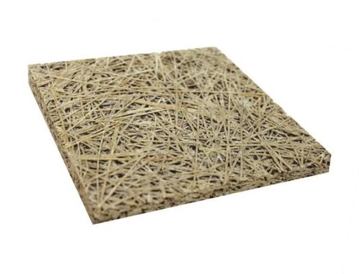 Square Edge Acoustic Sound Wood Wool Cement Panel for Ceiling Decoration Solution