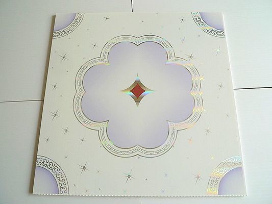 3D PVC Composit Board for Wall and Ceiling Decorative Size Ect pd109 Durable Material