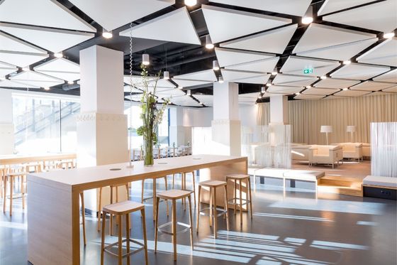 Office Fiberglass Ceiling Board with and Black Decoration 600*600mm or 600*1200mm
