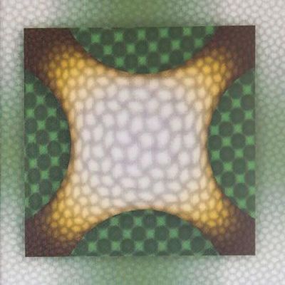 3D PVC Textured Wall Panels for Wall and Ceiling Decoration Non-Customized Hotels