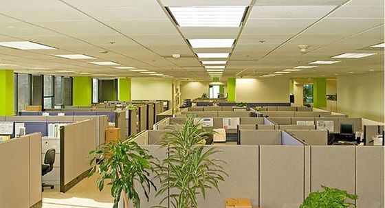 Decorative Suspended Ceiling Tile Panel for Acoustic Sound Insulation in 300*300