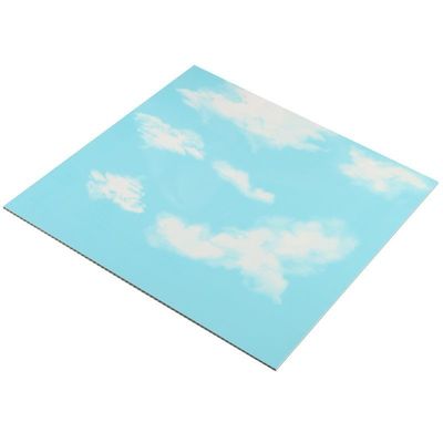 PD163 PVC Plastic Interior 3D Board for Wall / Ceiling Decoration Size 500*500*3.0mm