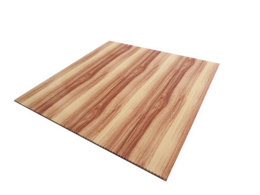 Customized Waterproof Plastic 3D Wall Panel for Interior Decoration Size 460mm*460mm