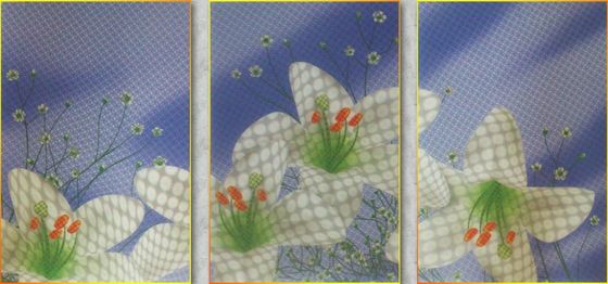 500mmx500mm Non-Customized Plastic Composite 3D Panel for Wall Decorative Application