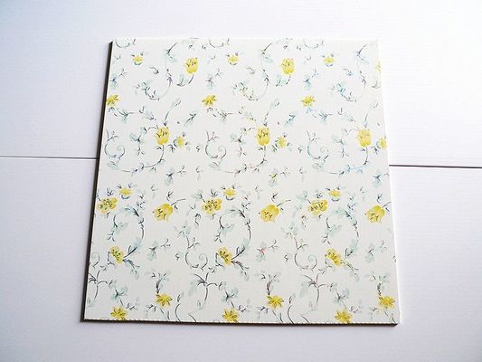 Colorful Waterproof Plastic PVC 3D Board for KTV / Bar Wall Decoration 500*2000*3.0mm