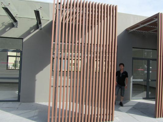 Outdoor Wood Plastic Composite WPC Decking Fence NY75*25 with Wood Grain Pattern