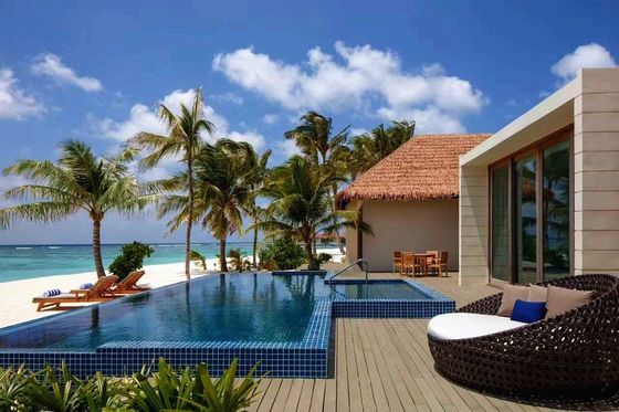 Customized Plastic Artificial Thatched Roof Simulation Decoration for in Modern Style