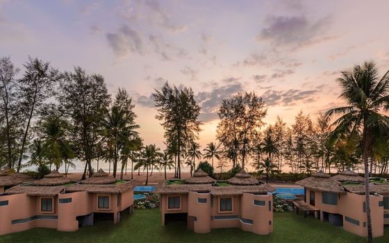 After-Sales Service Replace PVC Thatch Roofing Tile for Environment Synthetic Simulation