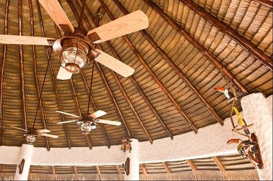 Synthetic Resin African Artificial Thatch for Roof Simulation Environment in High Demand
