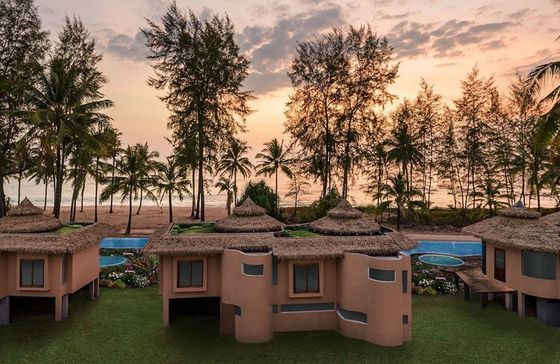 Customized Artificial Synthetic Environment Thatch Roofing Tiles for High Flexibility
