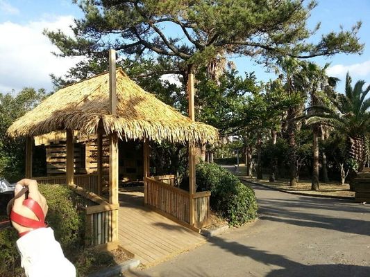 Customized Grey Synthetic Thatch Roof Design for Garden/Seaside Bars and Customized