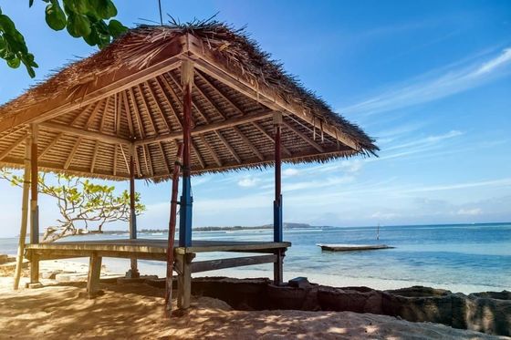 Customized Grey Synthetic Thatch Roof Design for Garden/Seaside Bars and Customized