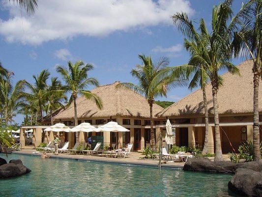 Artificial Fireproof Synthetic Thatch Roof Tiles with Customized PVC Material Component