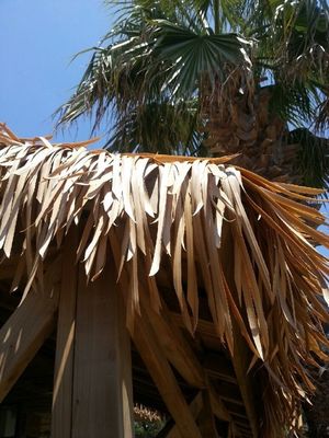 Artificial Fireproof Synthetic Thatch Roof Tiles with Customized PVC Material Component