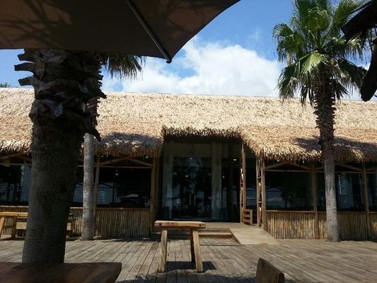 Waterproof Outdoor Simulation Thatch Tile Roof with Customized PVC Material Component