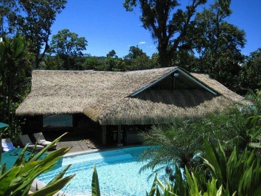 45*50cm and 30*45cm Customized Lightweight Thatched Roof Tile for Roofing Material