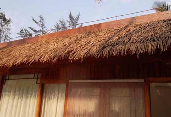 Hotel Roofing Solution Anti-UV Synthetic Palm Leaves Roof Thatch with Nylon Material