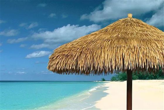 Fireproof Original Super Long Lifespan Synthetic Artificial Straw Thatch at Best
