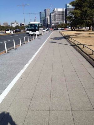Suitable for Parking Lots and Common Lanes Brown Water Permeable Brick / Block Pavement
