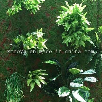 Customized Artificial Moss for Kindergarten Backyard Park Landscaping Customized Size