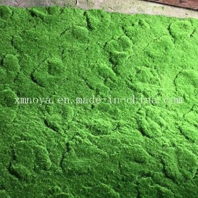 Artificial Gress Decorative Moss Eco-Friendly PE Plants with Customized Design