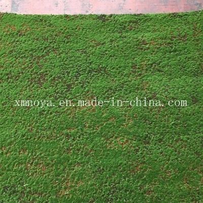 Artificial Gress Decorative Moss Eco-Friendly PE Plants with Customized Design
