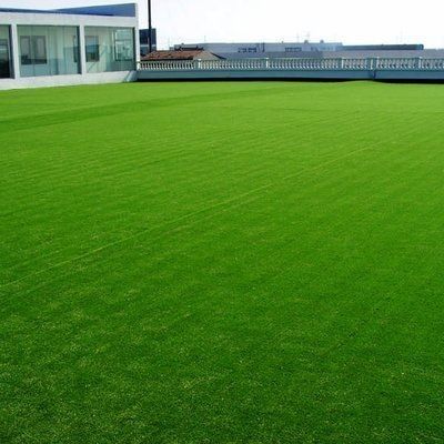 25mm Pile Height PP Artificial Turf for Soccer Field NYG010 Leisure Area
