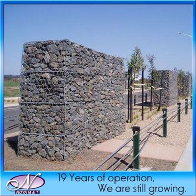 Heavy Duty Stainless Steel Hexagonal Gabion Wire Mesh with 100*120mm Sizing Grid