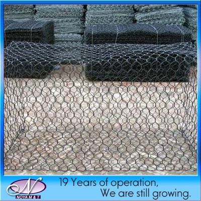 600*600*20/25 Heavy Stainless Steel Hexagonal Gabion Wire Mesh with Years of Experience