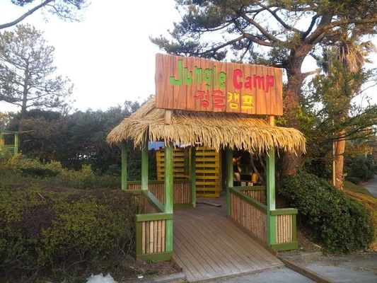 Traditional Style Synthetic HDPE Thatch Roof for Hotel Roofing Decoration