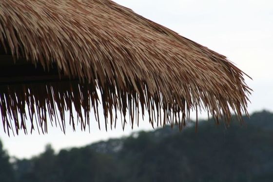 Hotel Ceiling Tile Natural Thatching Material / Eco Friendly Thatch Roofin With Natural Color