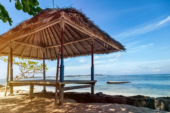 Good Price Indonesia Plastic Artistic Dry Thatch Gazebo Canopy Tent Pergolas Tents Synthetic Thatched Cottage Dry Grass Roof