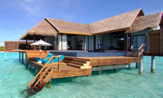 Wholesale Fire Resistant Artificial Thatch Hotel Artificial Thatch Roof Thatch Roof Synthetic