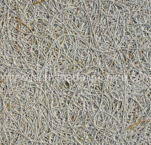 Distinctive Gray Wood Wool Acoustic Cement Panel with B1 Fireproof Grade 1200*2440 mm