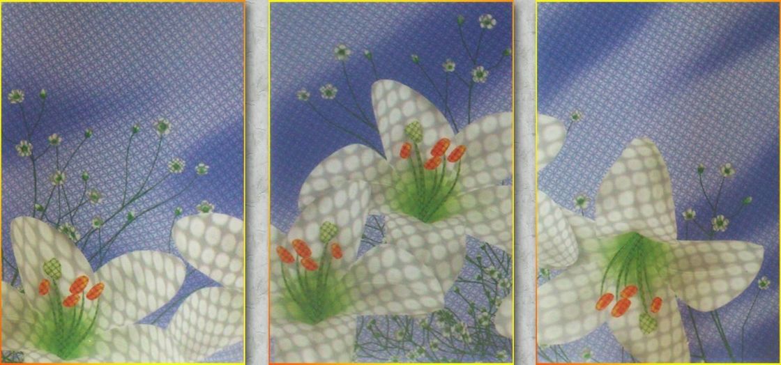 500mmx500mm Non-Customized Plastic Composite 3D Panel for Wall Decorative Application