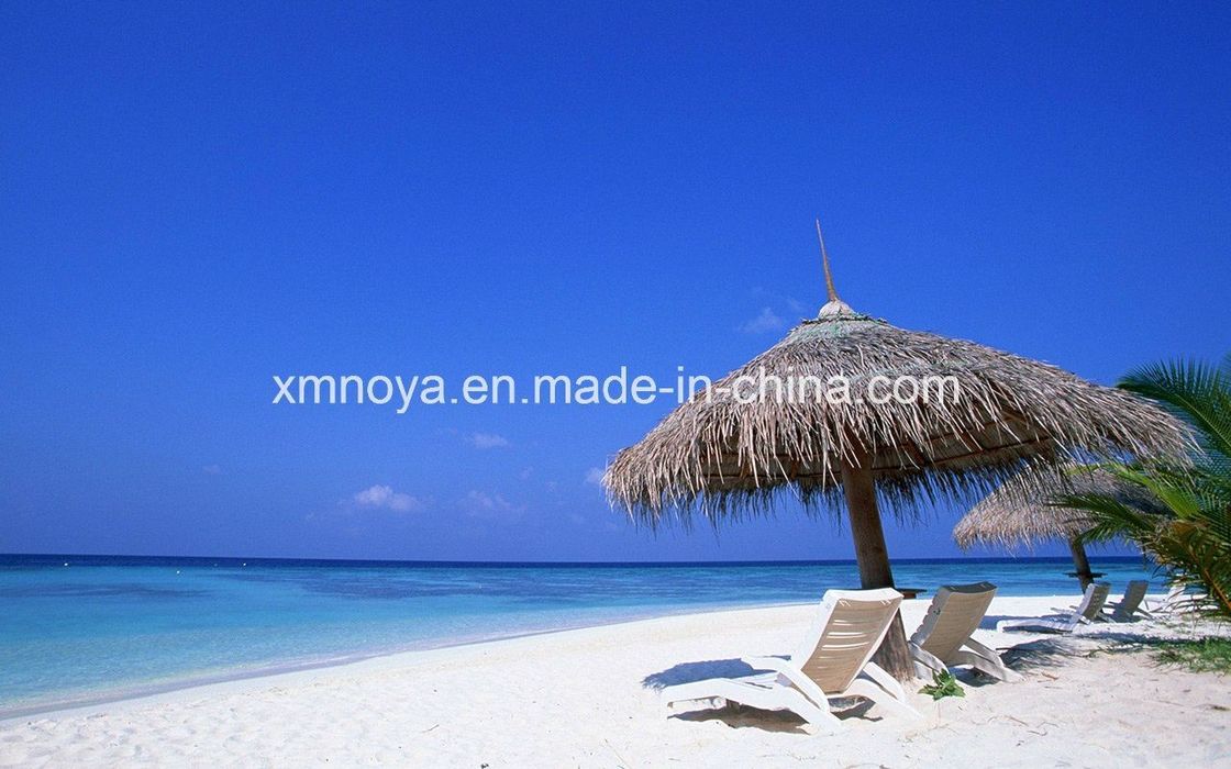 Customized Waterproof Thatch Roofing Material for Beach Synthetic and Customized Size