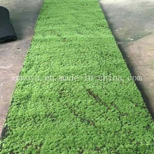 Artificial Gress Decorative Moss Eco-Friendly PE Plants with Customized Design
